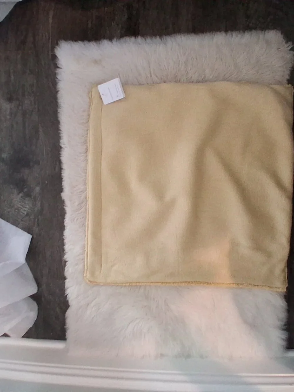 Pottery Barn nwt pillow cover 22x22 pale yellow ? cotton lyocell